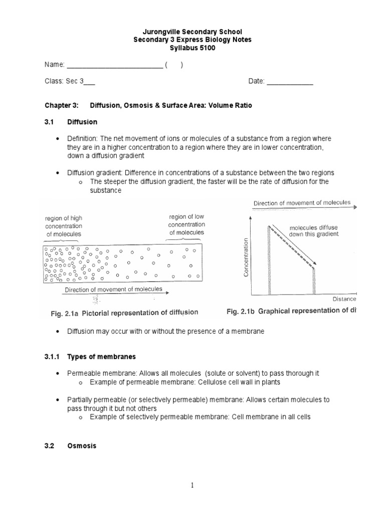 Secondary 3 Biology: Diffusion & Osmosis | PDF | Osmosis | Cell Membrane