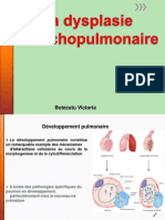 PULMONAIRE