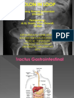 Colon in Loop