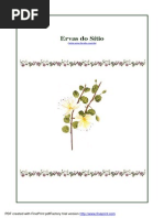 Ervas Do Sitio