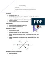 FISIOLOGIA MOTORA Pedia Bien Hechito