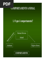 Comportamento Animal