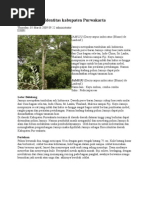 Download Flora  Fauna by neutralized4athing SN22604171 doc pdf