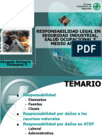 13 Responsabilidad Legal en Seguridad Industrial SaludOcupacional