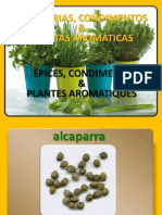 Épices, Condiments, Plantes Aromatiques (FR - PT)