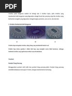 Download Struktur Bird Nest by Franciska Septiana Putranti SN226064143 doc pdf