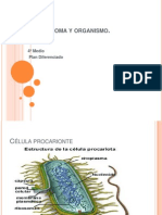 CÃ_lula, Genoma y Organismo FOSFOLIPIDO 2014