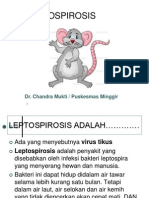 Leptospirosis ppt1