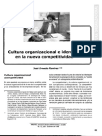 Cultura Organizacional e Identidad
