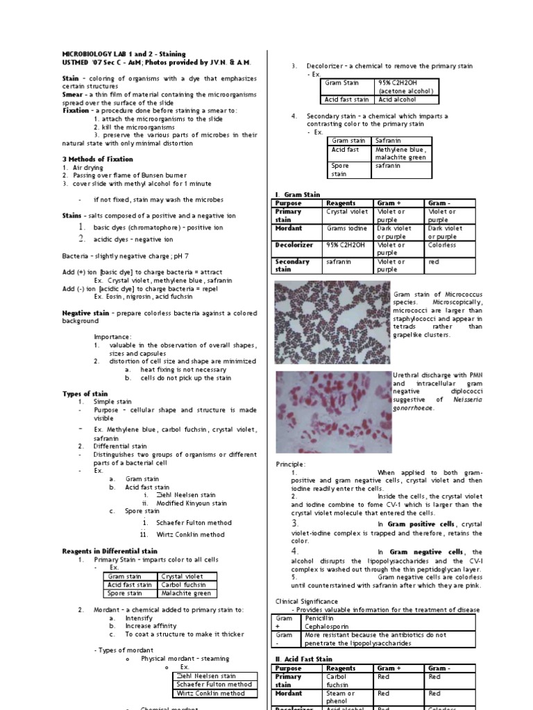 Microbio Lab 1 and 2 | PDF | Business