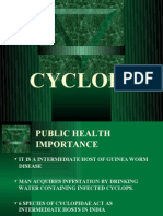 Public Health Importance