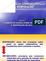 Respiracao Aula 1