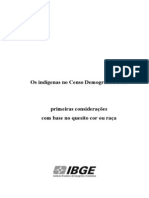 indigena_censo2010.pdf