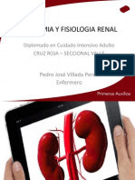 Anatomia y Fisiologia Renal