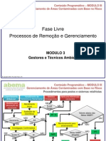 Fase Livre - Processos de Remoção e Gerenciamento PDF