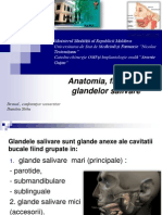 Prelegere 1 Anatomia, Fiziologia Metode de Investigare Ale Glandelor Salivare