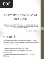 Reatores Aeróbios Com Biofilme