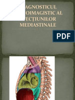 Curs 7 Mediastin