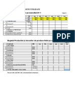 Modele de Bugete Utilizate