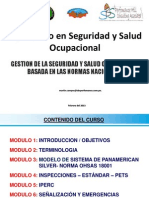 2.-Gestion de La Seguridad y Salud Ocupacional