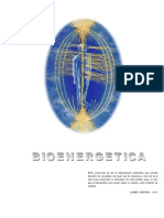 Bioenergetica 2