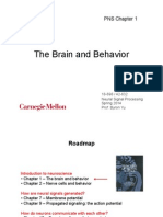 Introduction To Brain and Behavior