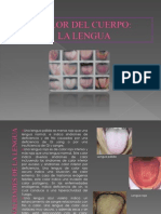 Diagnostico de Lengua