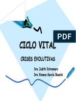 Ciclo Vital Crises Evolutivas