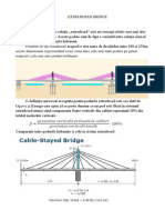 Extradosed Bridge