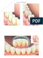 ROTAFOLIO PREVENCIÓN