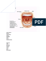 Partes de La Boca