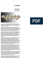 Cinco Provas Da Evolução Das Espécies - Mensageiro Sideral - Folha de S