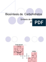 Biosintesis de Carbohidratos