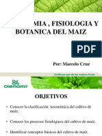 Taxonomia Fisiologia y Botanica Del Maiz