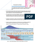 Prenatal Fact Sheet PDF