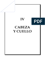 Iv - Cabeza y Cuello PDF