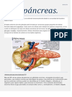 Pancreas