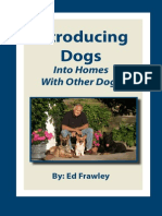 Introducing Dogs
