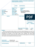 Lembar Deskripsi Gastropoda Dan Cephalopoda