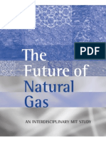 Natural Gas Report MIT