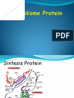 Sintesis Protein