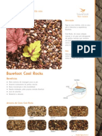 Cool Rocks Brazil Layout 1