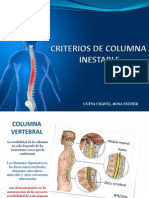 Criterios de Columna Inestable