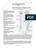 03-Spinal Cord Phys & Anat