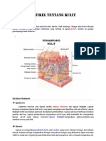 Artikel Tentang Bagian - Bagian Kulit