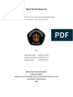 Resume Petrologi Kelompok 1