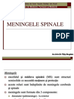 Meningele Spinale