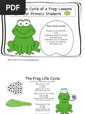 Lifecycle of a Frog for Primary Students