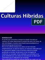 Culturas hibridas