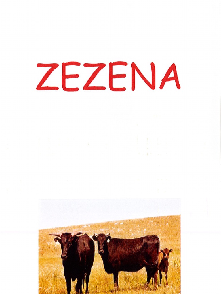 Zezena | PDF